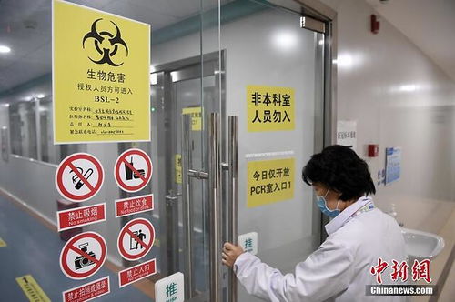 探訪北京新冠肺炎病毒核酸檢測服務(wù) 自費(fèi)260元背后的高效與便捷